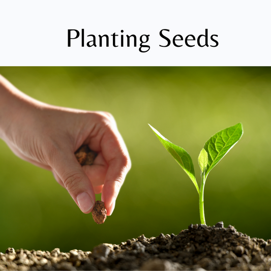 Planting Seeds