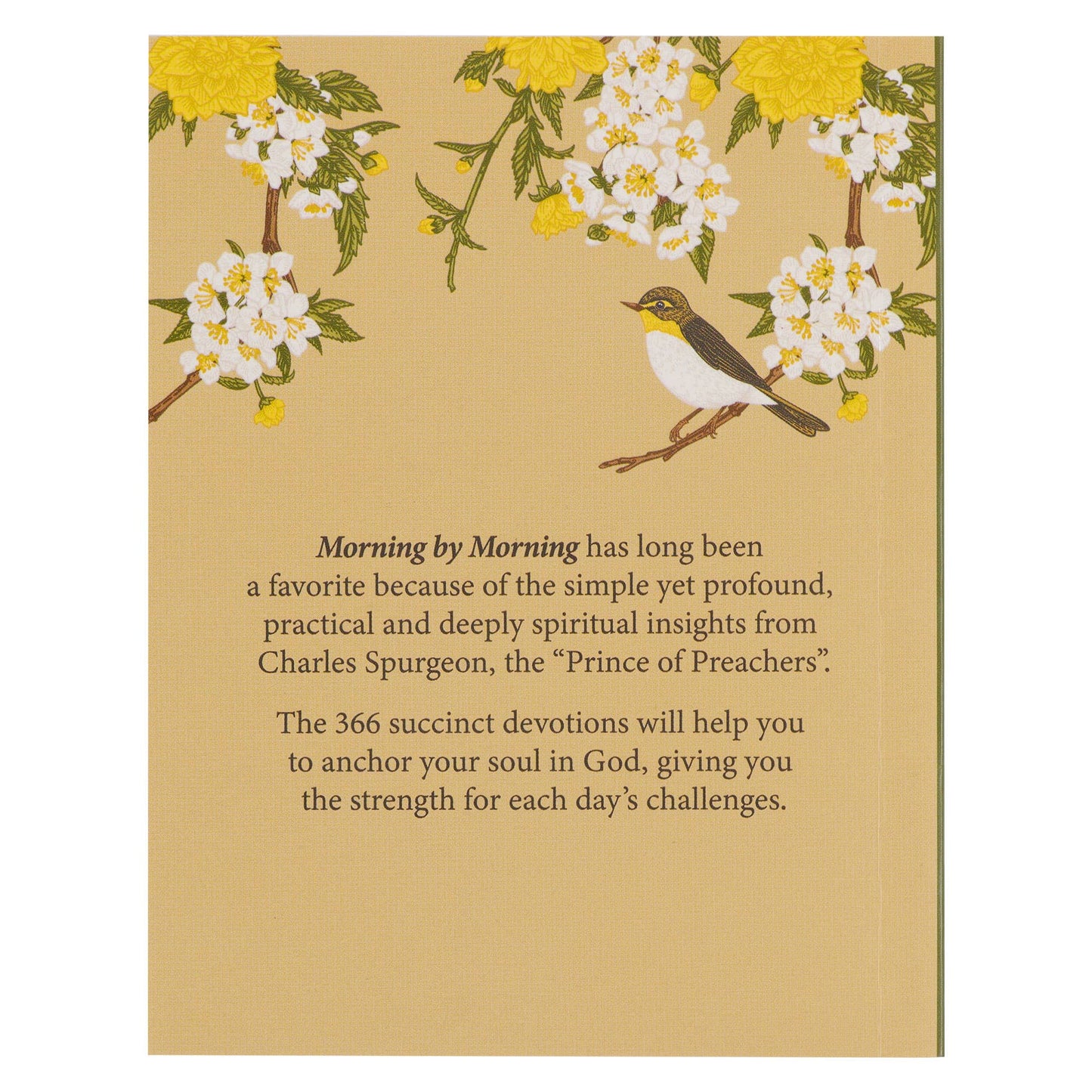 One Minute Devotions Morning by Morning Softcover